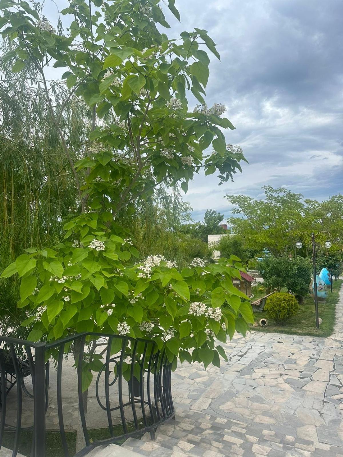 Ralina Restaurant And Hotel Село Арарат Экстерьер фото